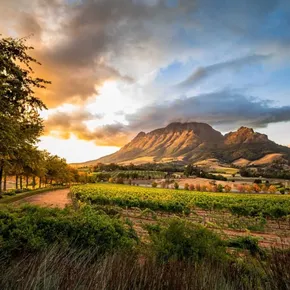 Cape Winelands South Africa