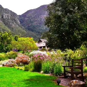 Kirstenbosh Garden Cape Town